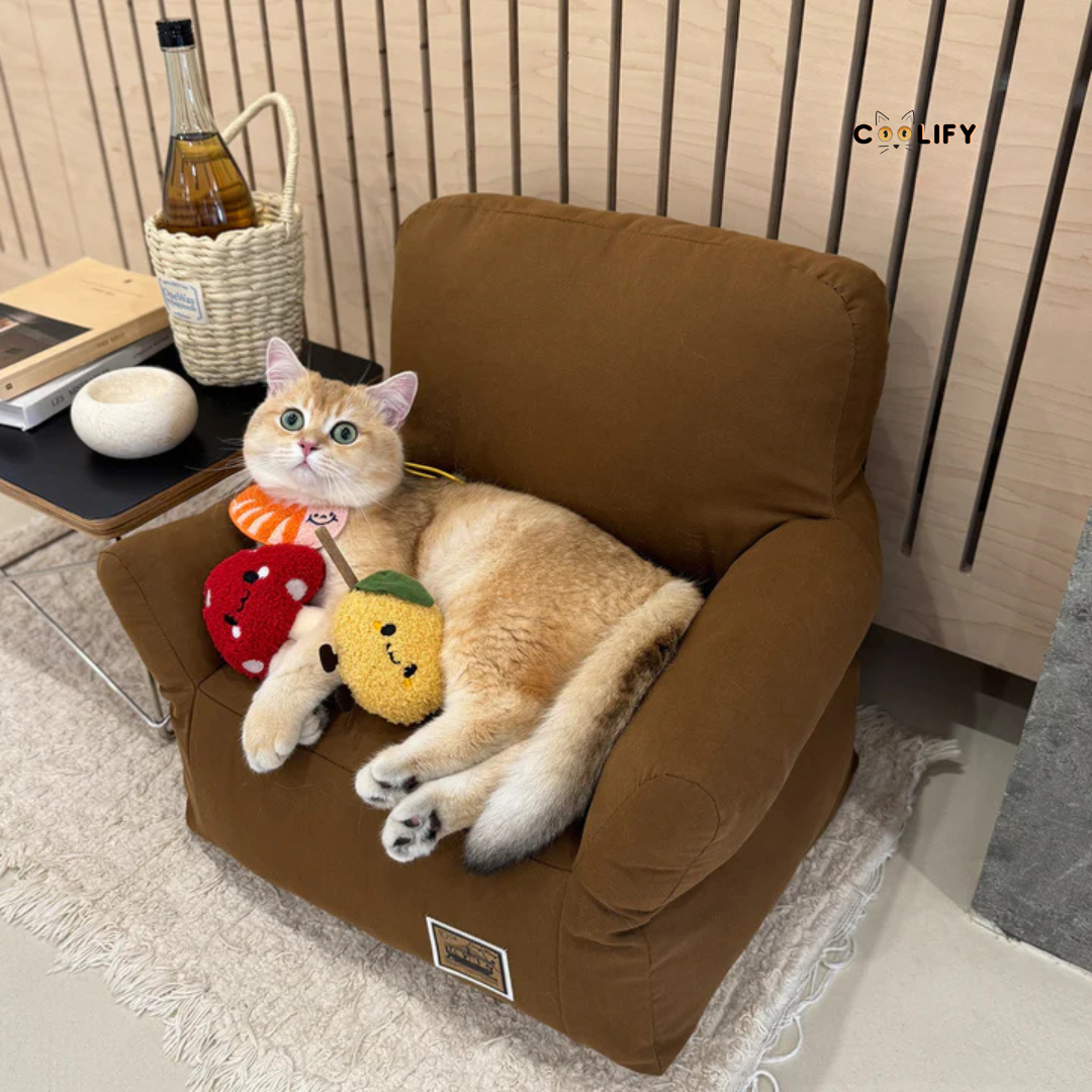 Coolify Minimalist Sofa