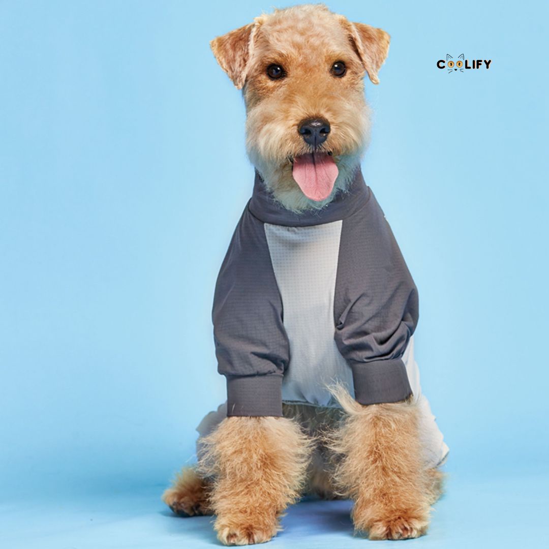 Coolify Breeze Touch Top