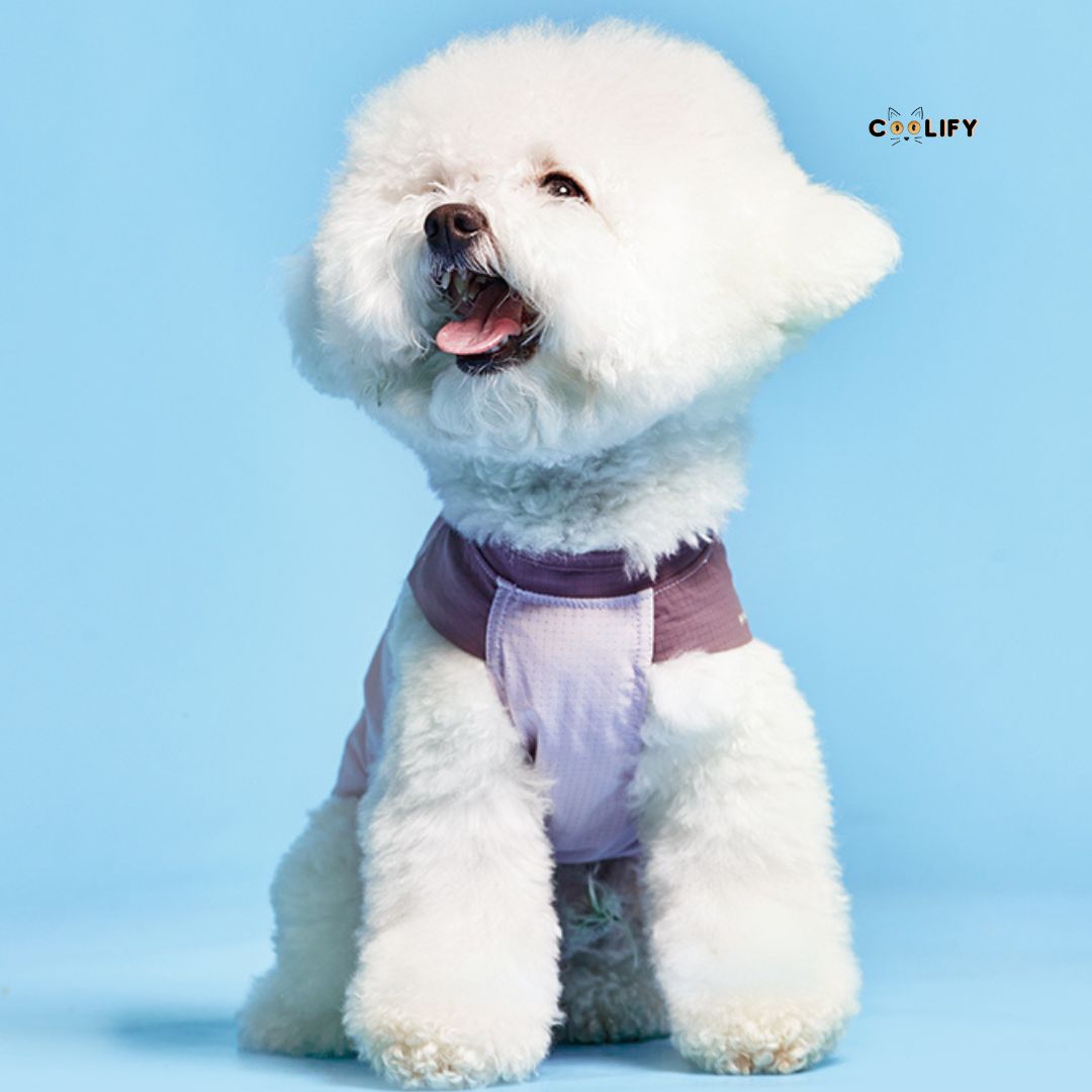 Coolify Breeze Touch Tişört