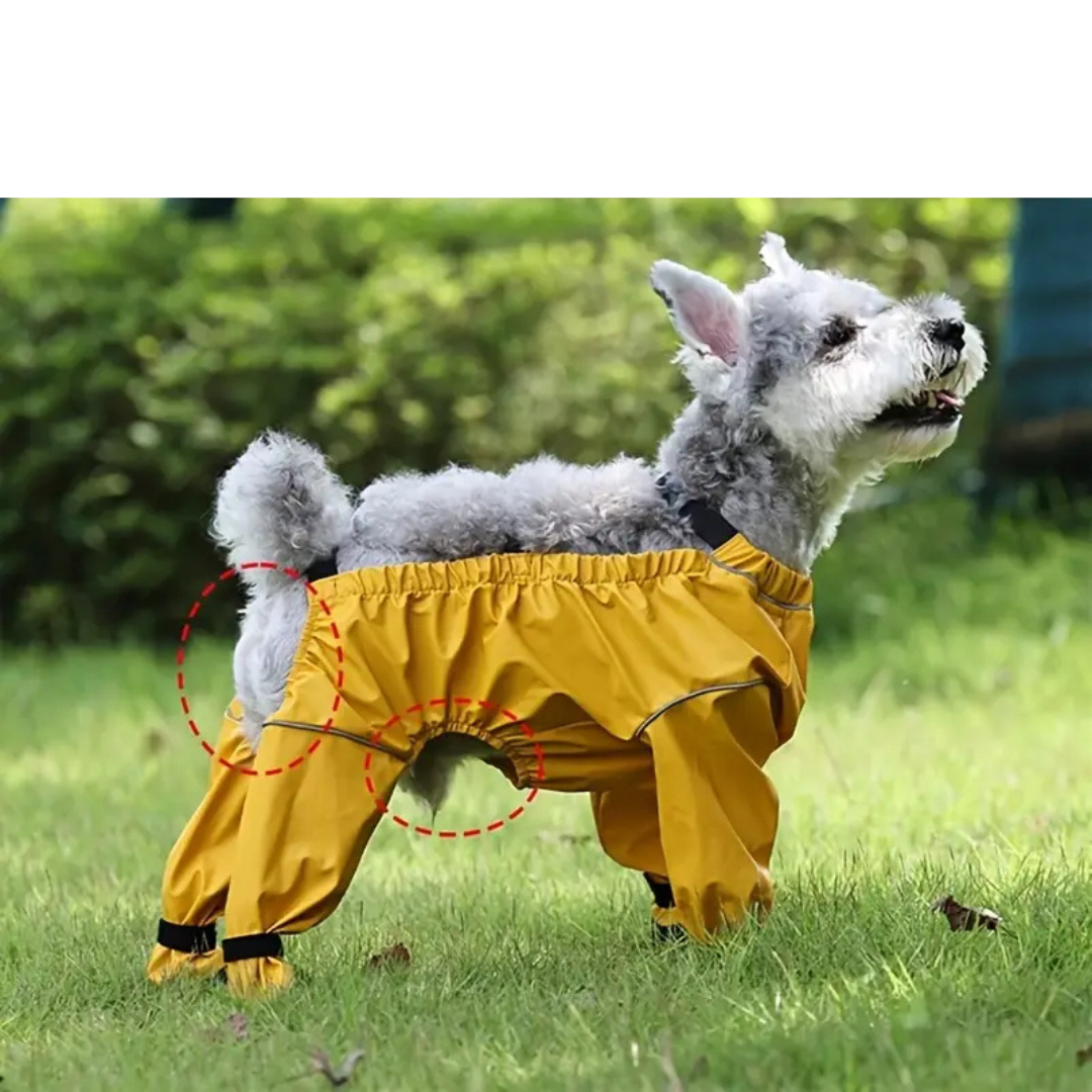 Muddy Paw Pants
