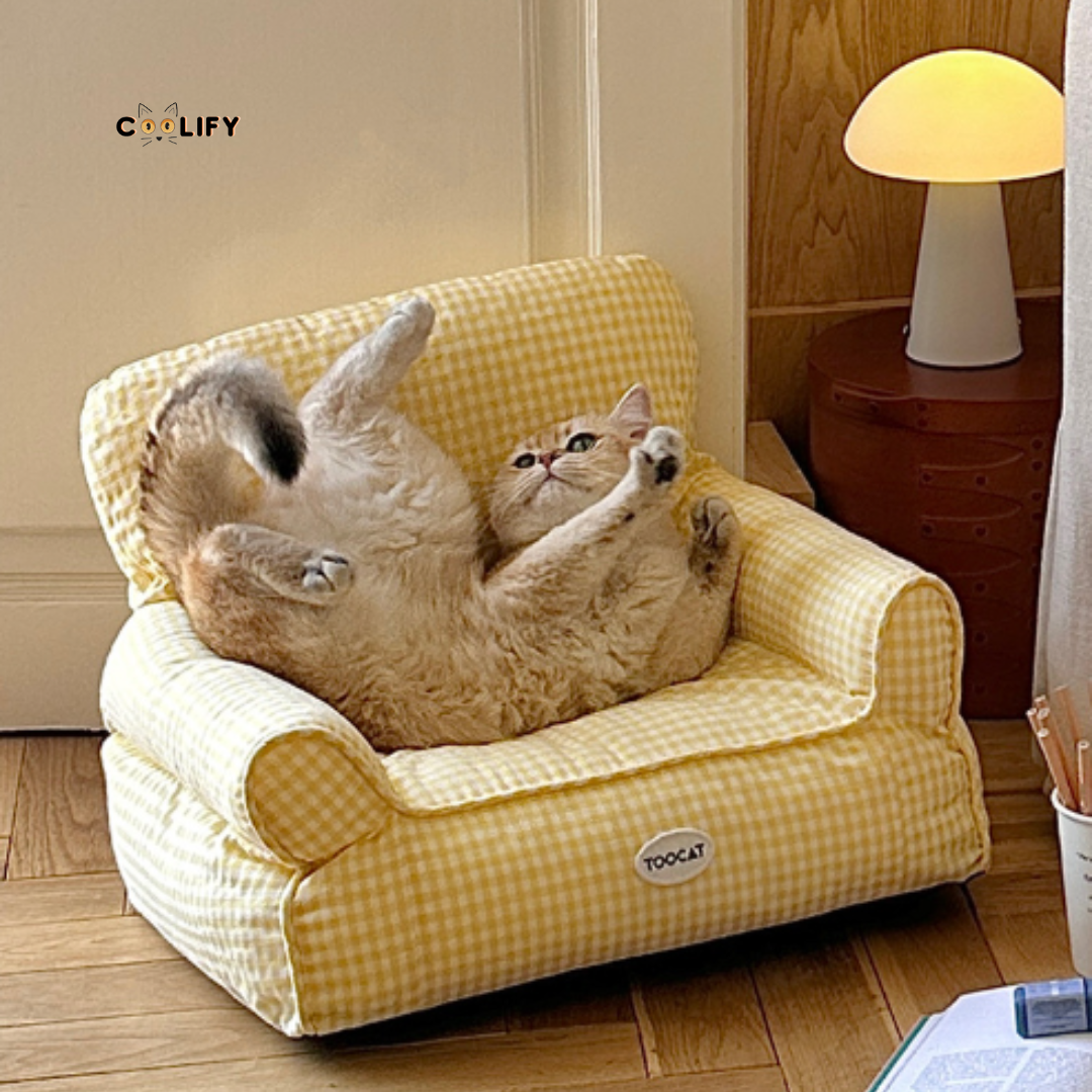 Coolify Summer Sofa