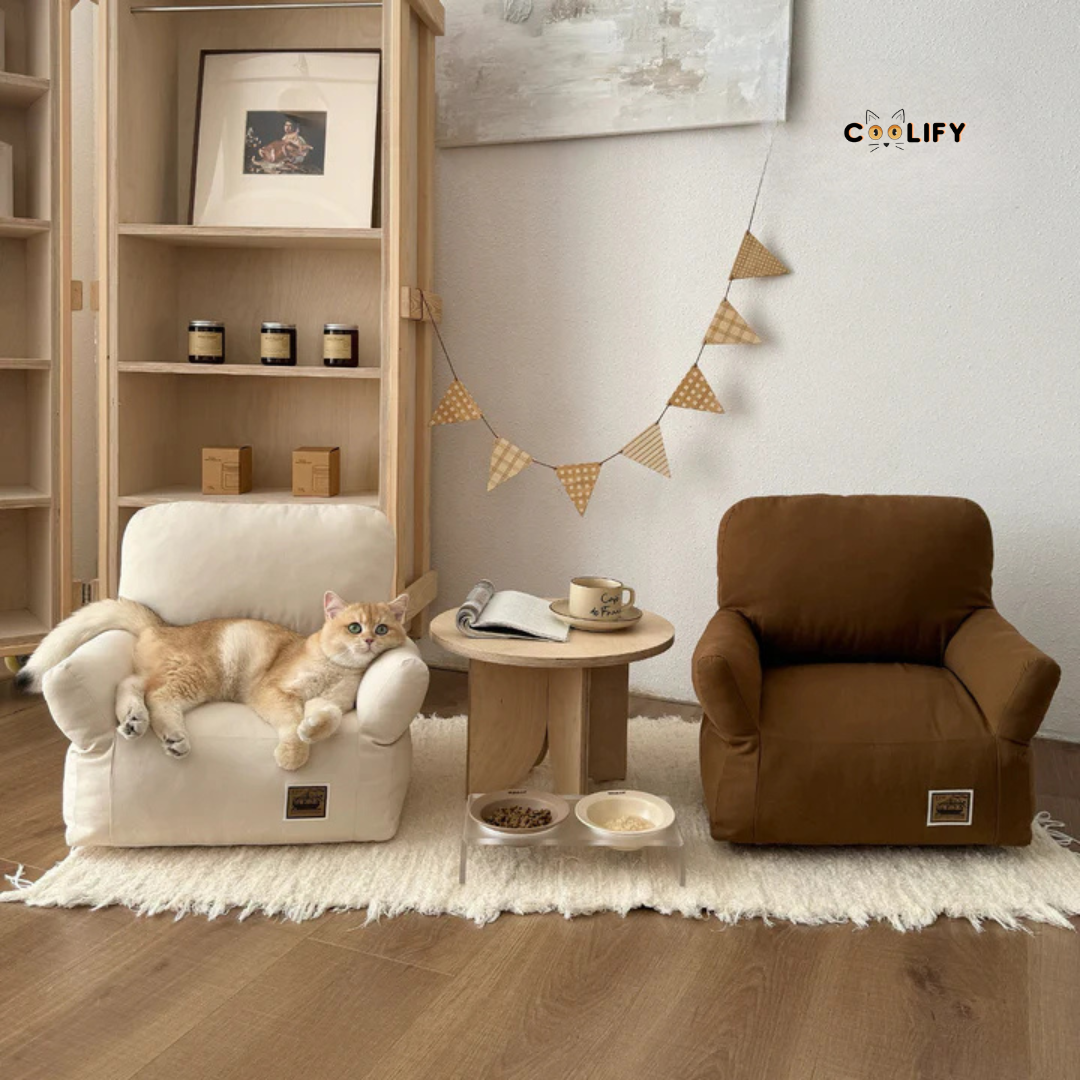 Coolify Minimalist Sofa
