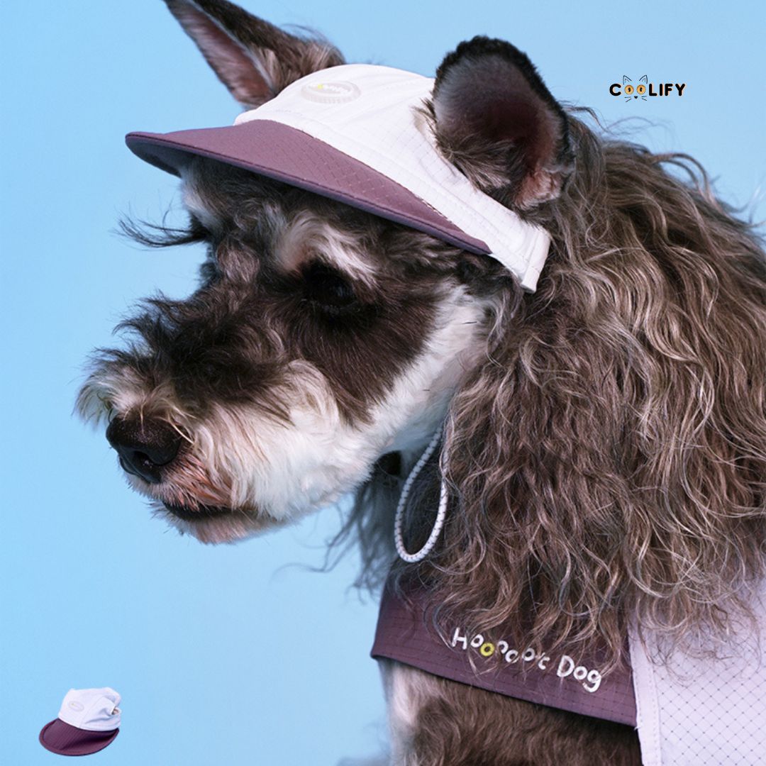 Coolify Breeze Touch Şapka