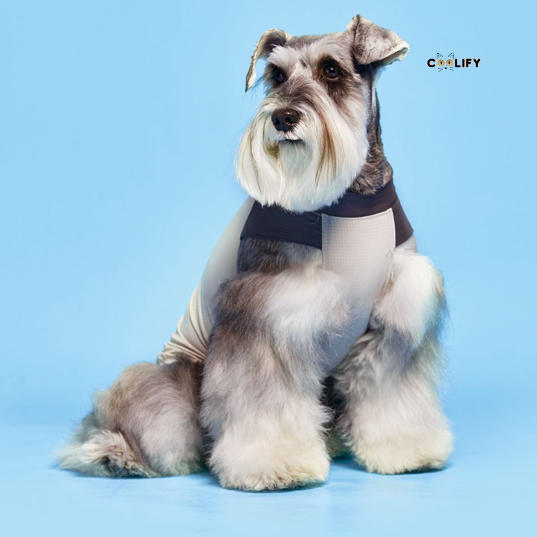 Coolify Breeze Touch Tişört