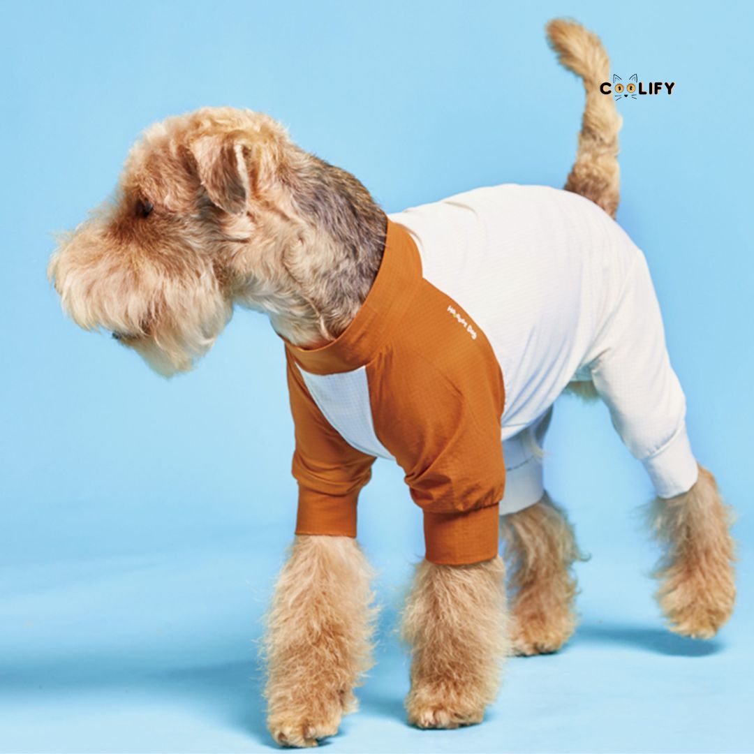 Coolify Breeze Touch Top