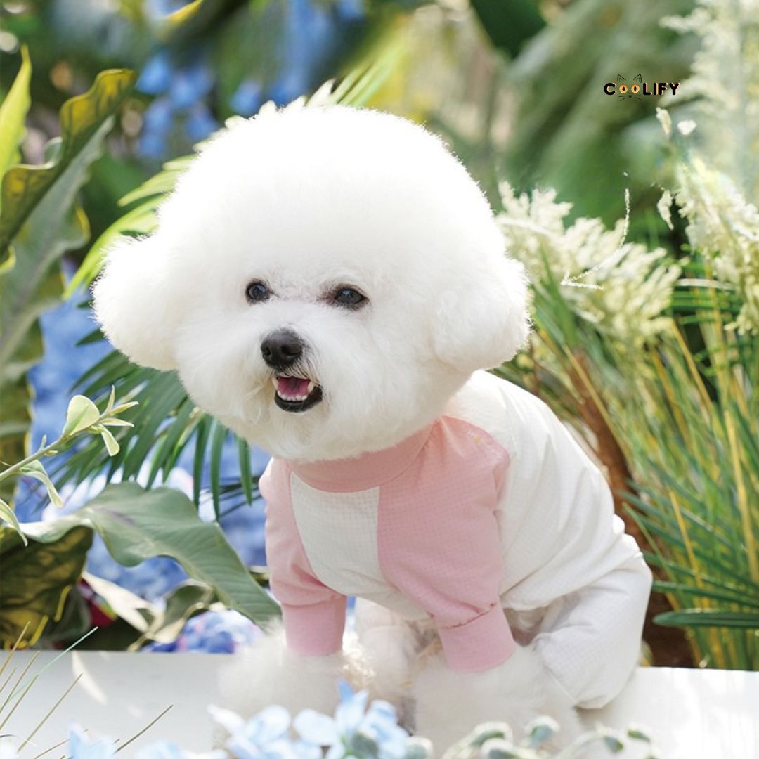 Coolify Breeze Touch Top
