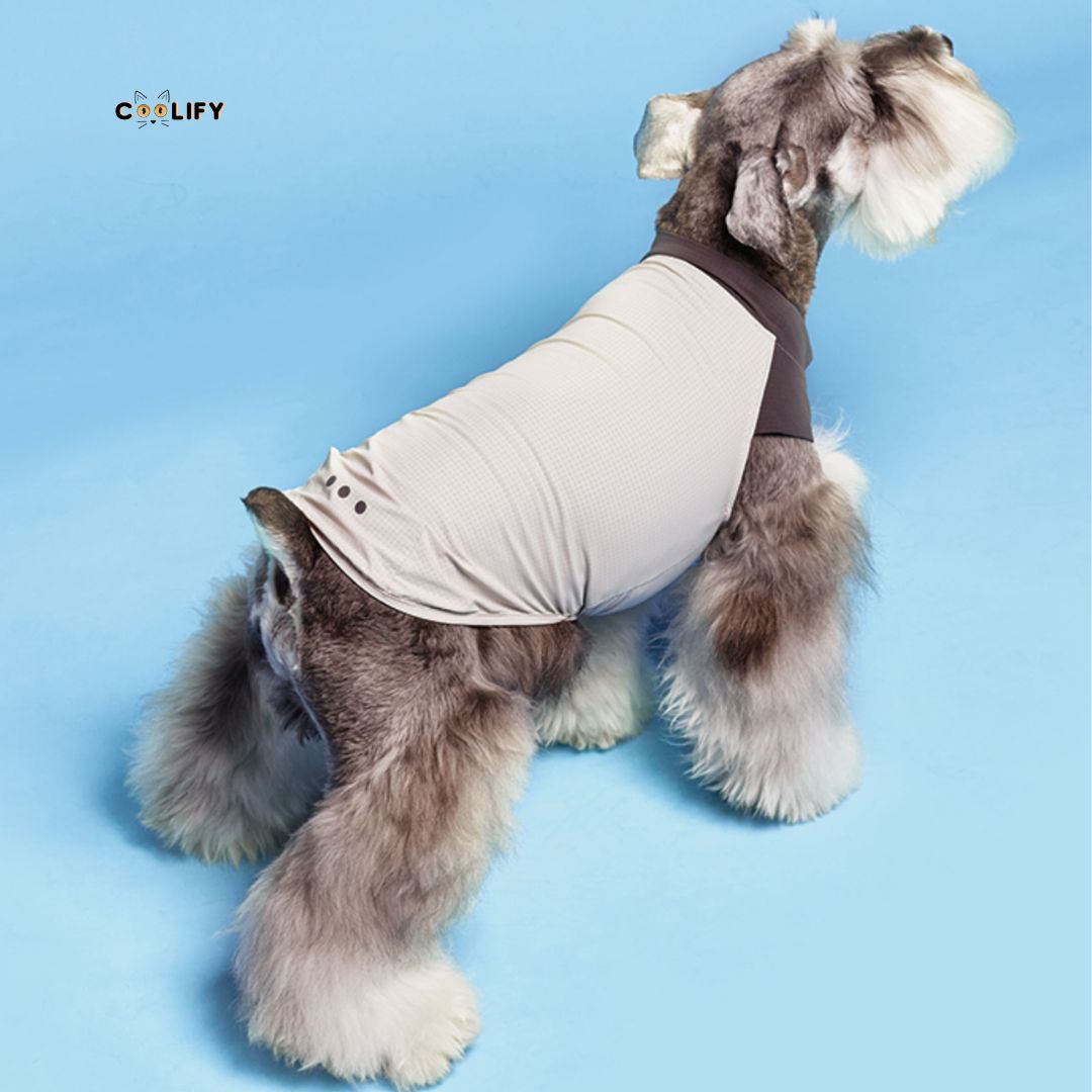Coolify Breeze Touch Tişört