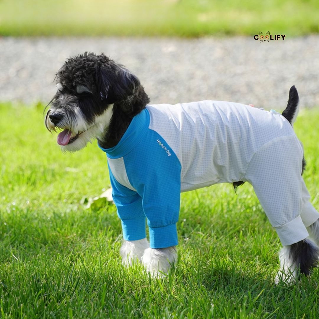 Coolify Breeze Touch Top
