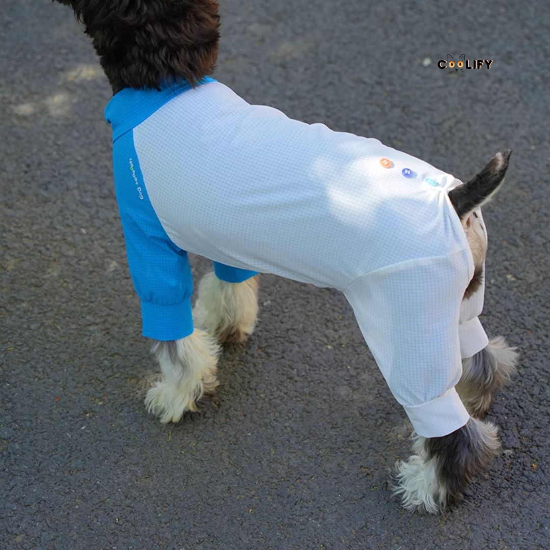 Coolify Breeze Touch Top
