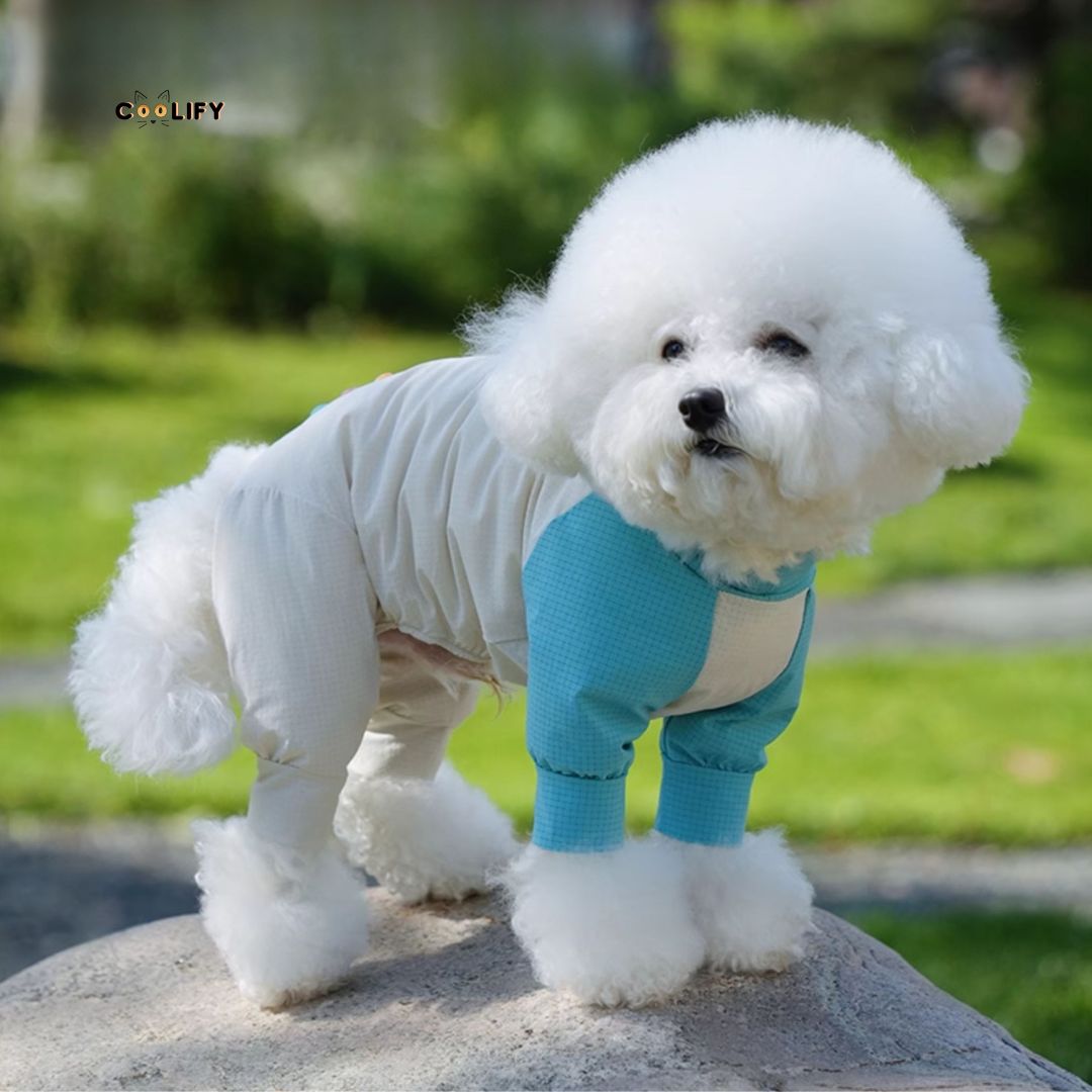 Coolify Breeze Touch Top