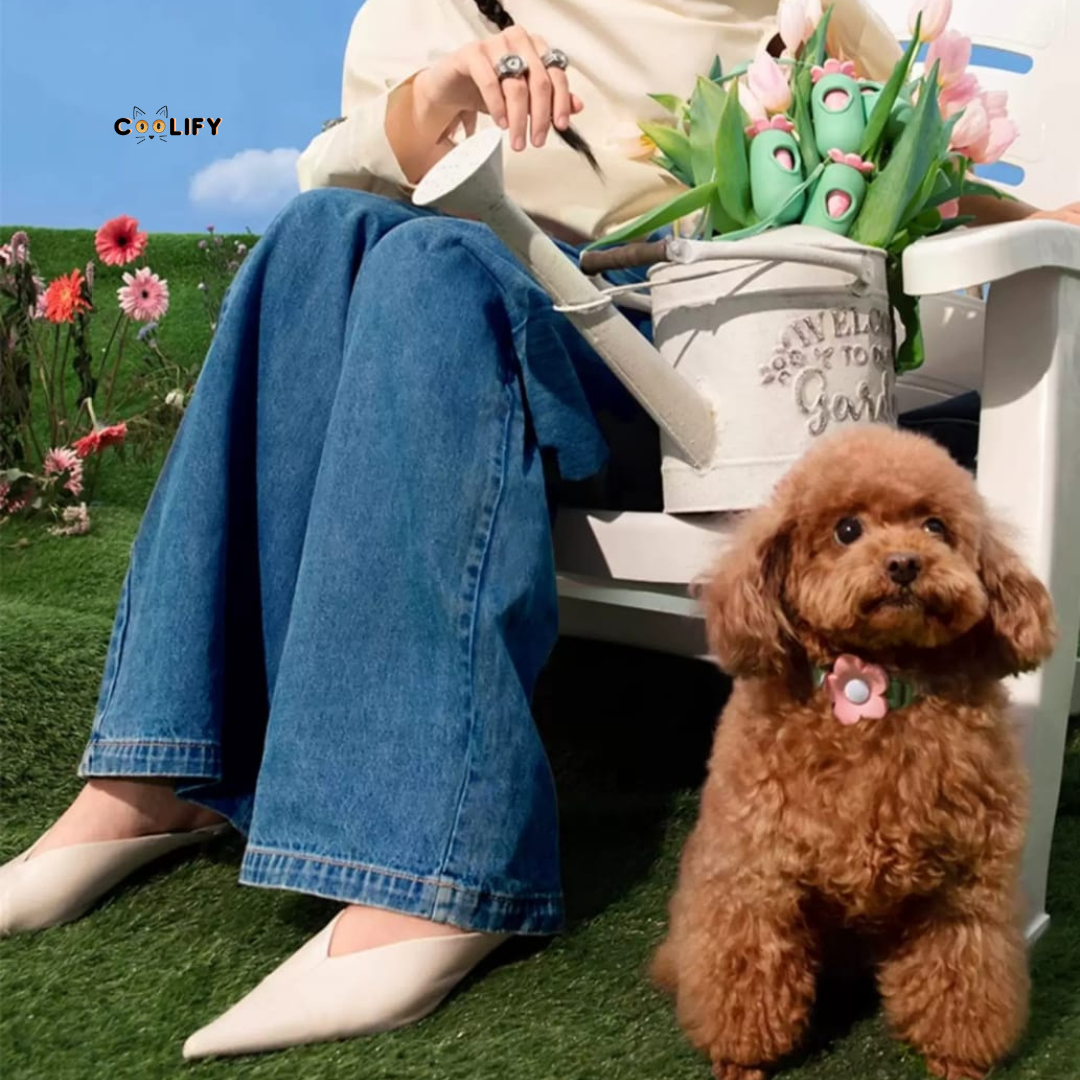 Flora Pet Walk Kit