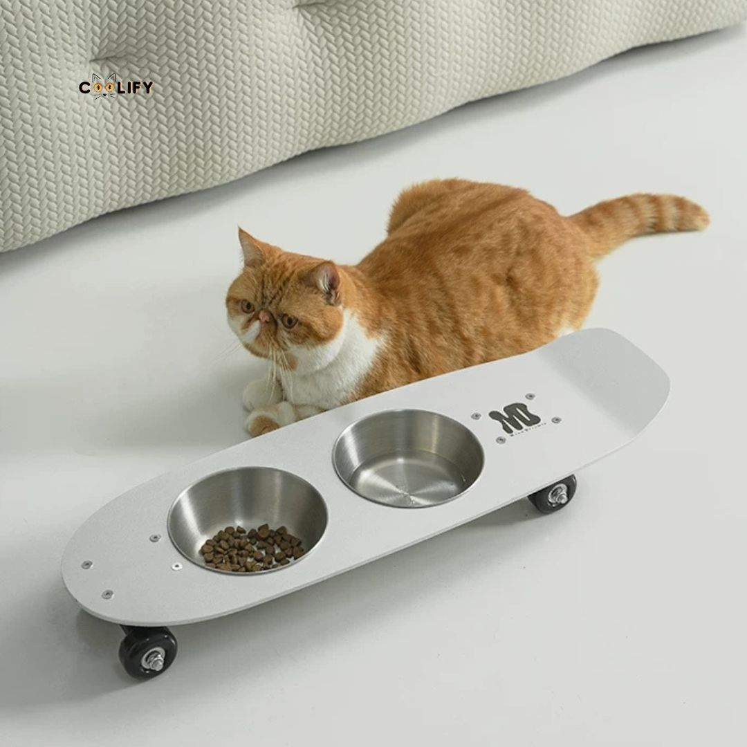 Skateboard Mama Seti