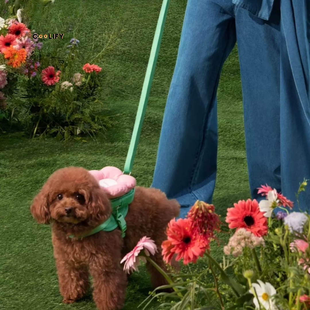 Flora Pet Walk Kit