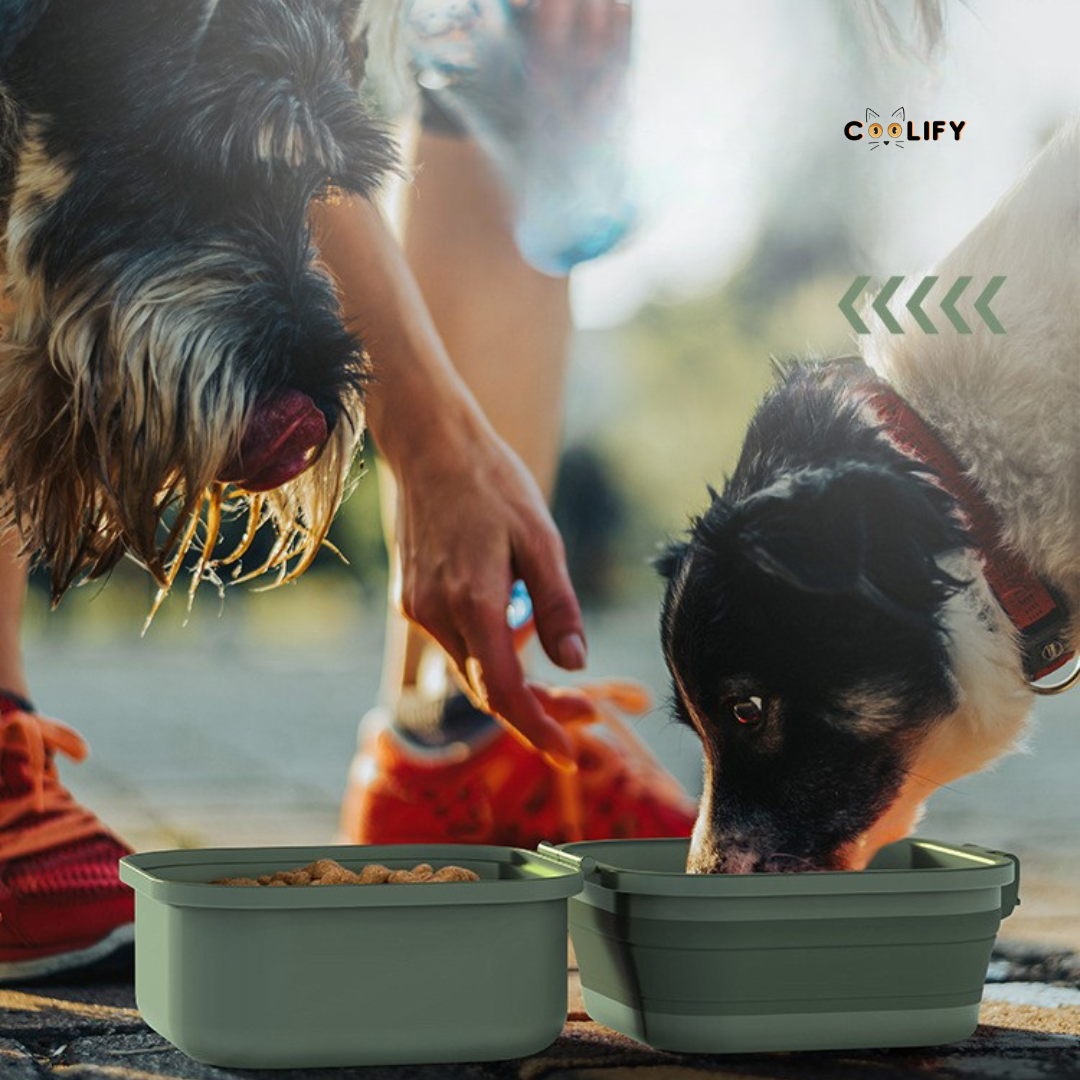 Coolify Outdoor Set