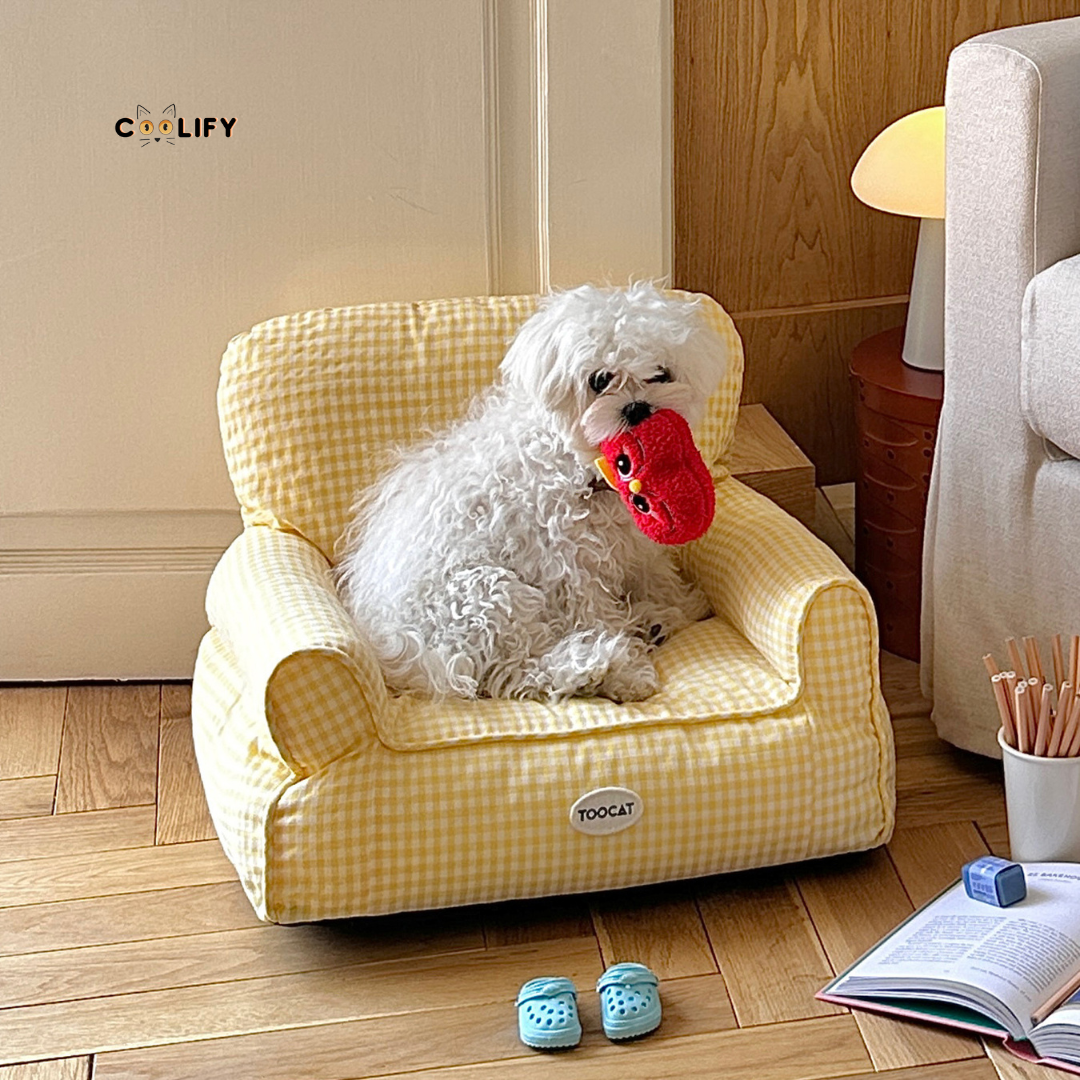 Coolify Summer Sofa