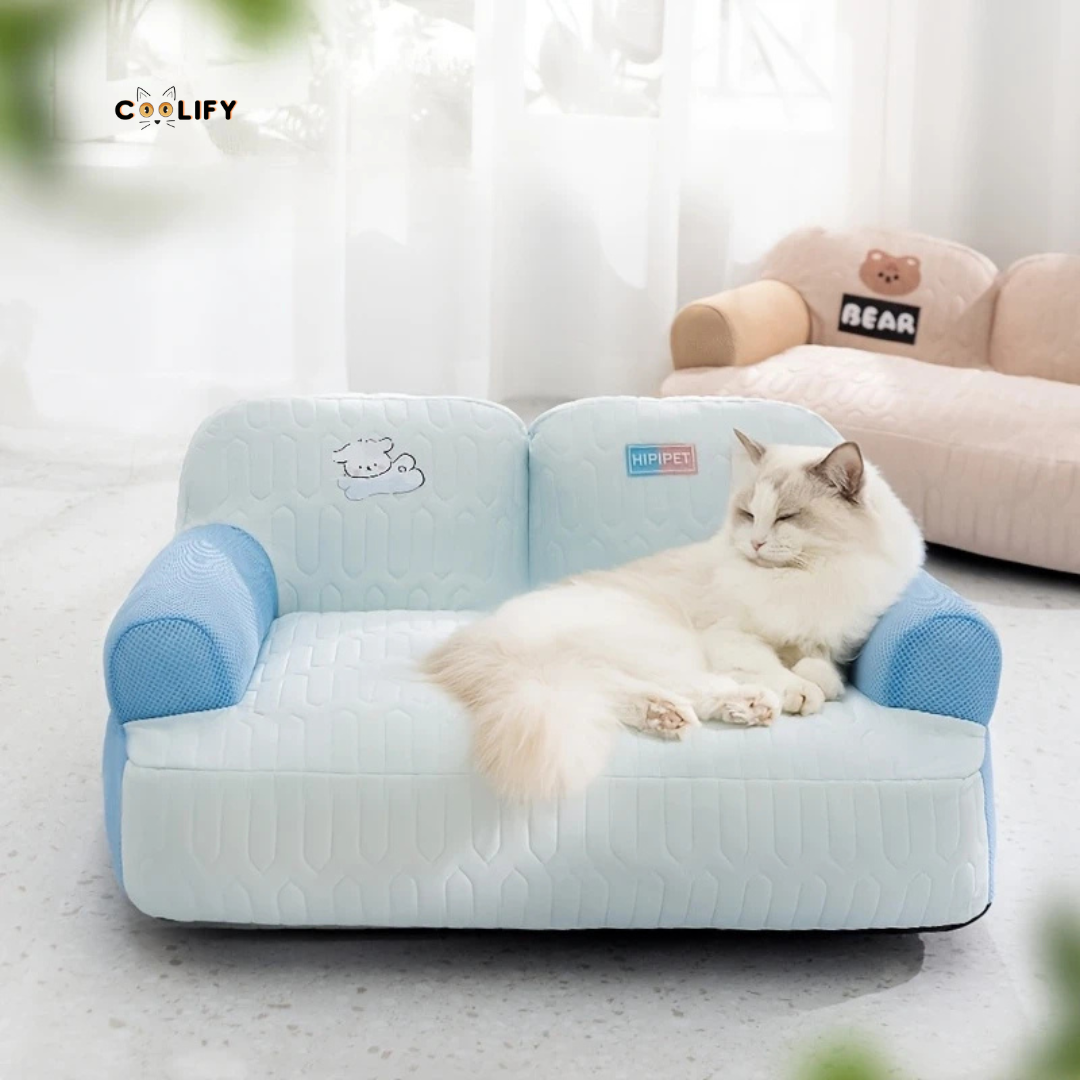 Coolify Ice Sofa