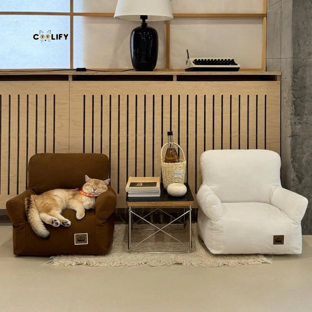 Coolify Minimalist Sofa