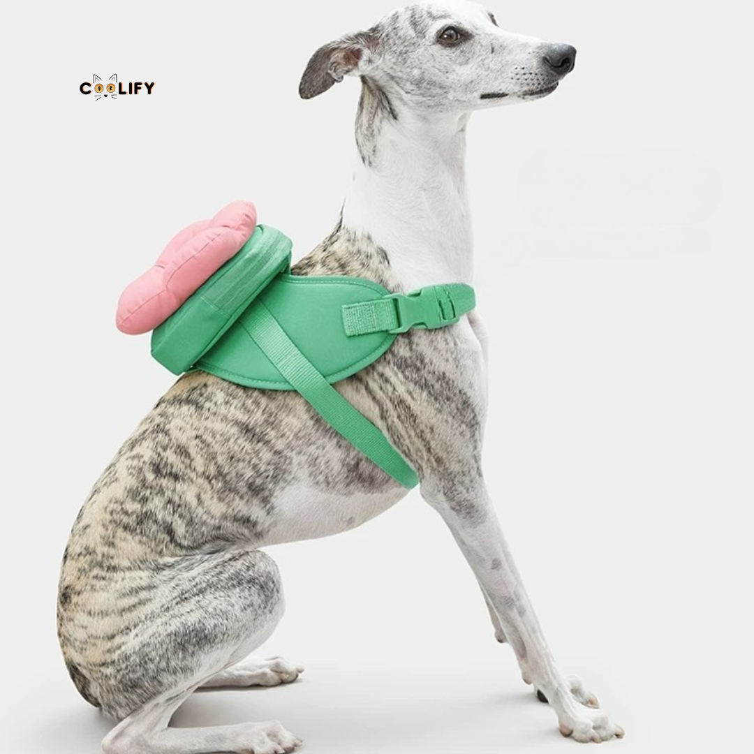 Flora Pet Walk Kit