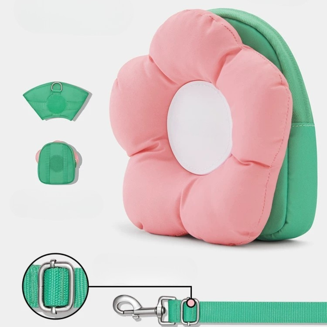 Flora Pet Walk Kit