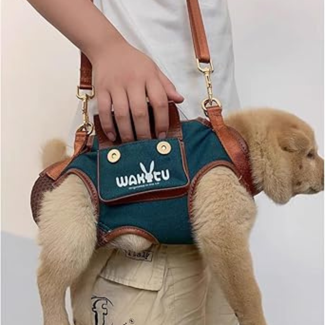 Coolify X Wakytu Göğüs Tasması