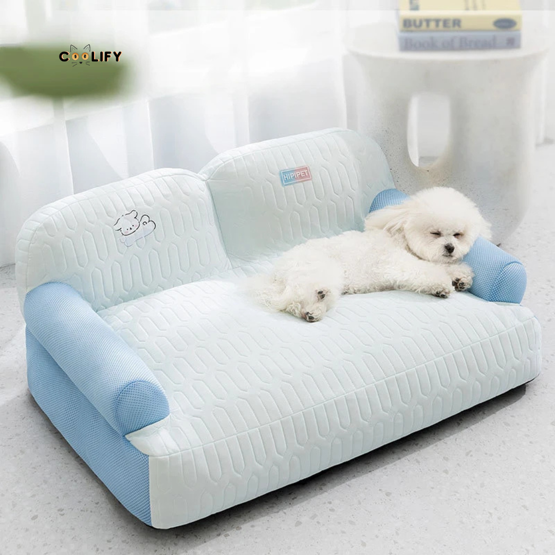 Coolify Ice Sofa