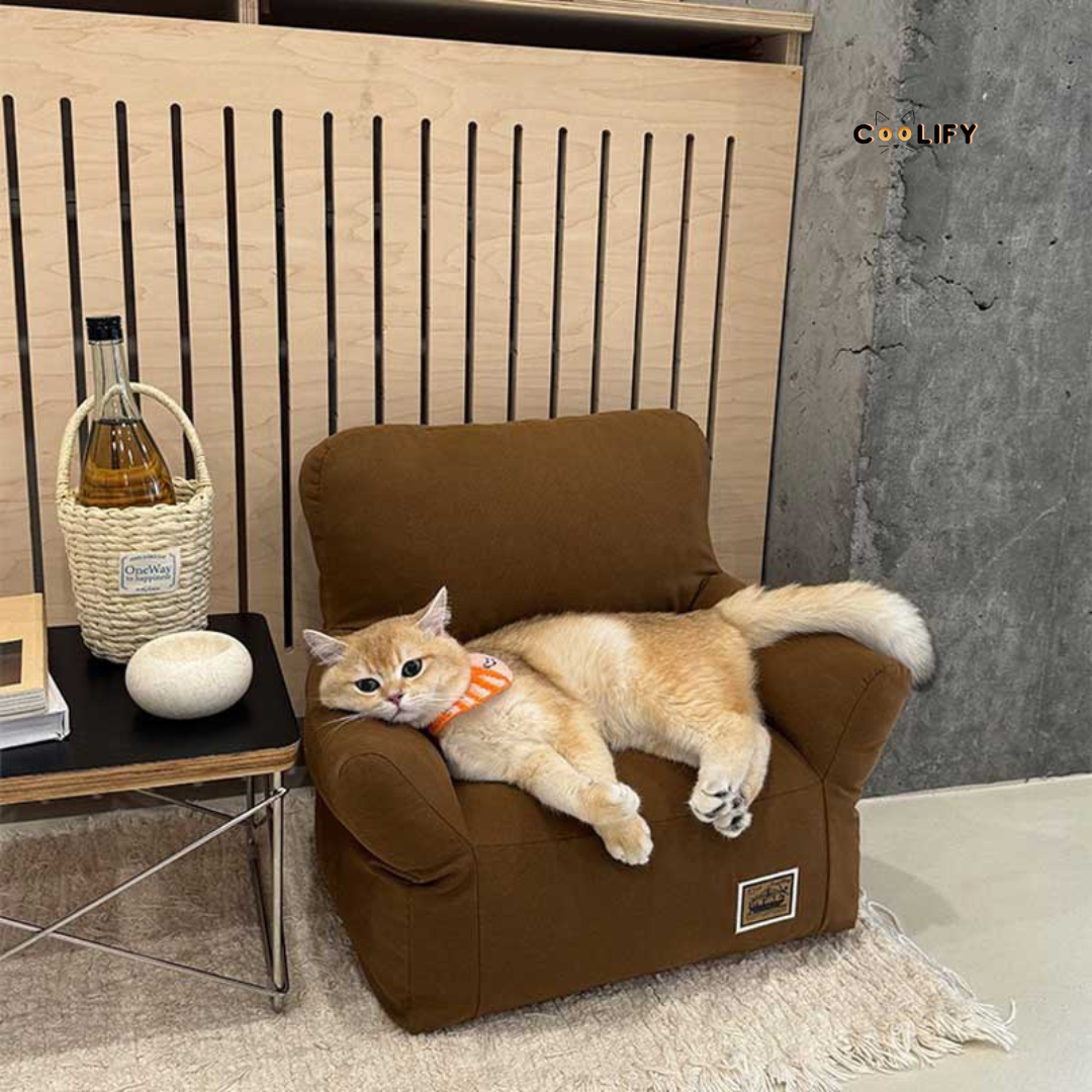 Coolify Minimalist Sofa