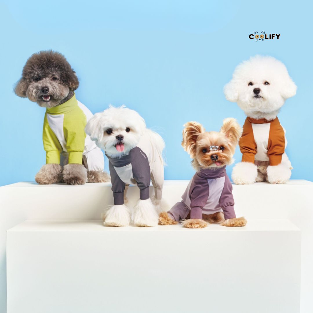 Coolify Breeze Touch Top