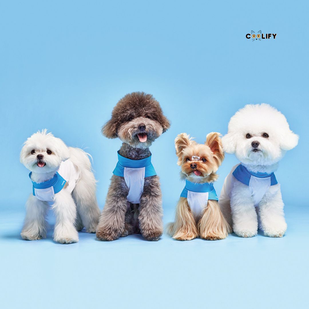 Coolify Breeze Touch Tişört