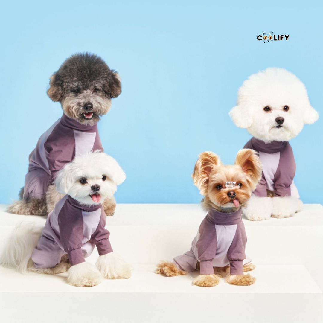 Coolify Breeze Touch Top