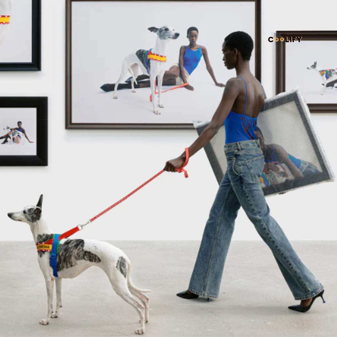 Chroma Pet Walk Kit