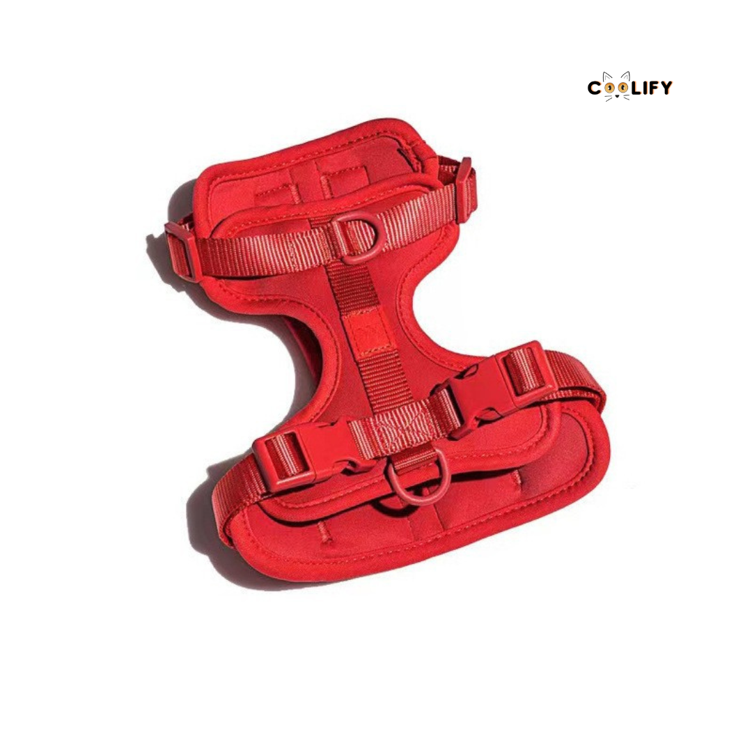 Happy Walks Premium Tasma Seti
