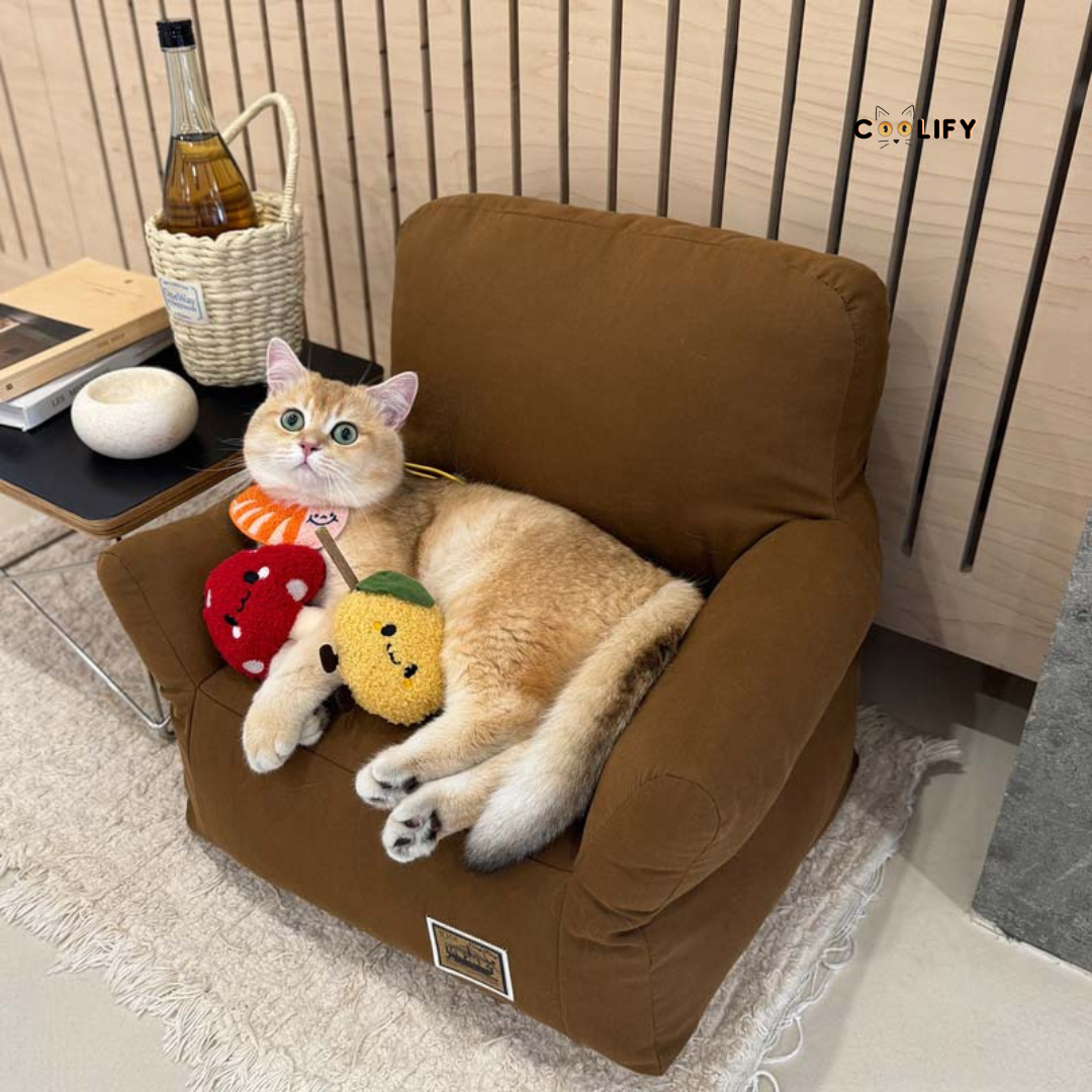 Coolify Minimalist Sofa