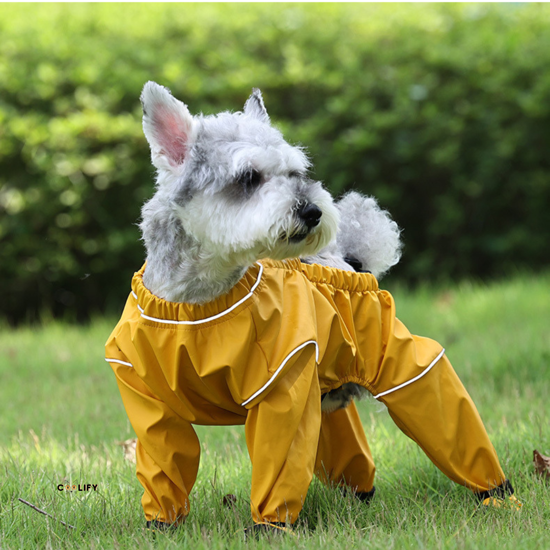 Muddy Paw Pants