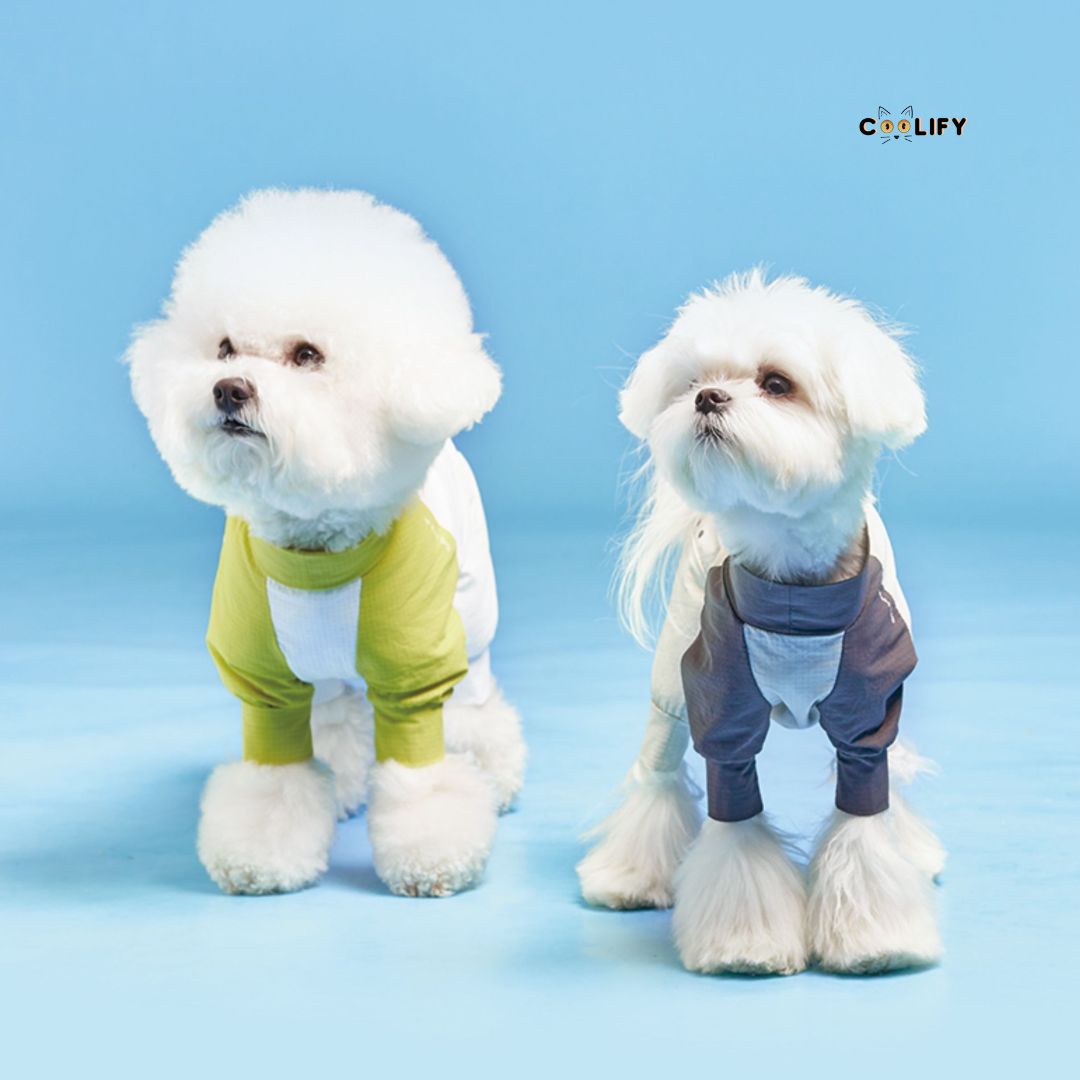 Coolify Breeze Touch Top