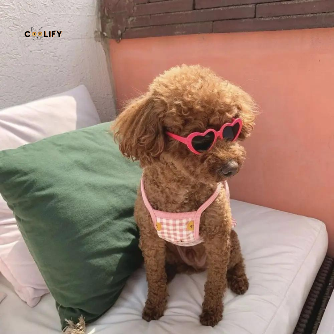 LovePaws Heart Shades