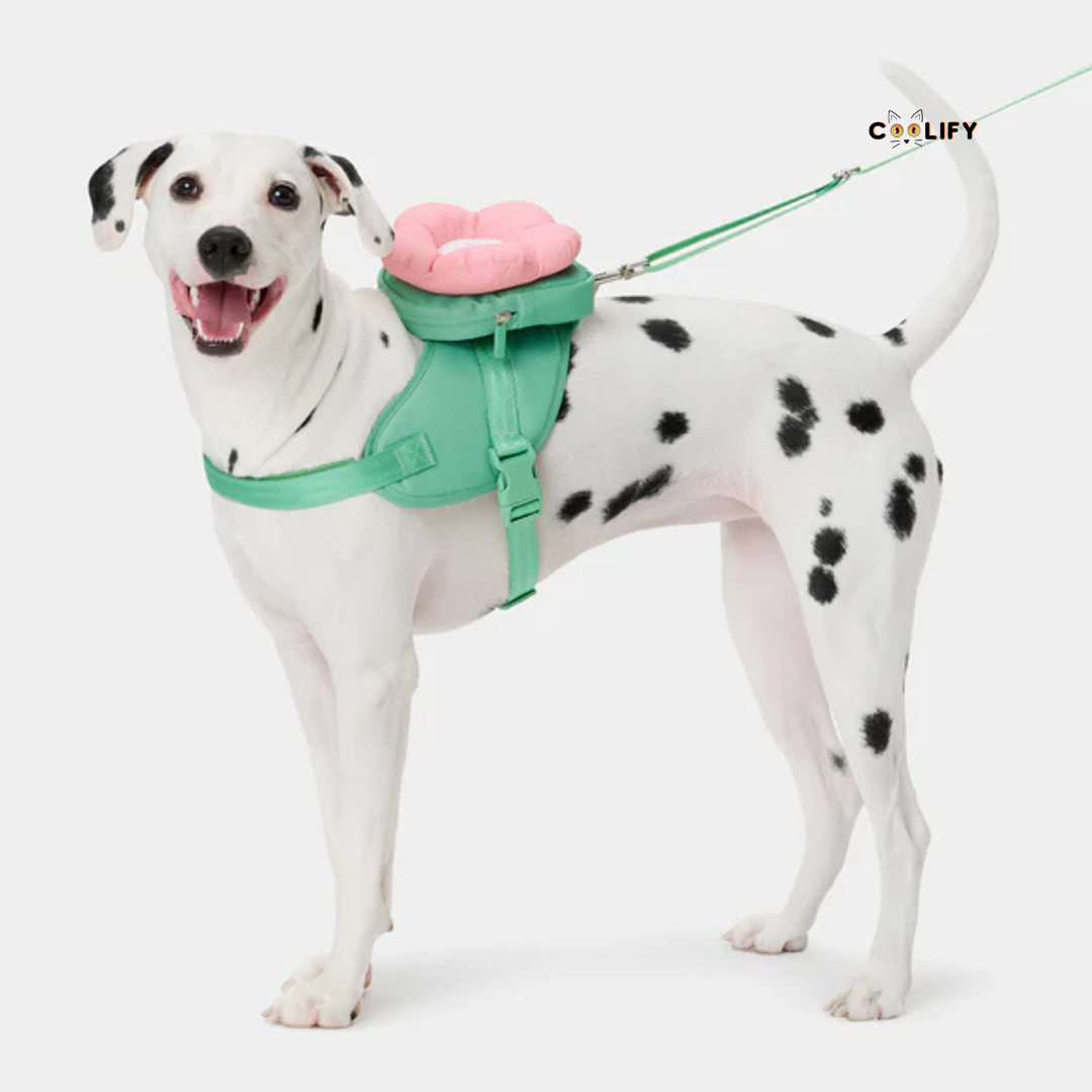 Flora Pet Walk Kit