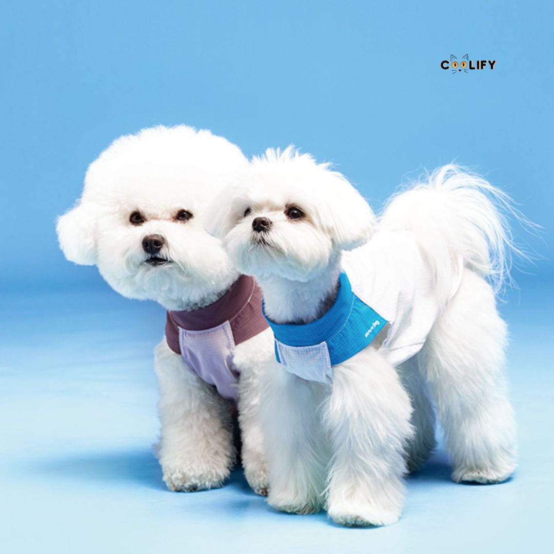 Coolify Breeze Touch Tişört