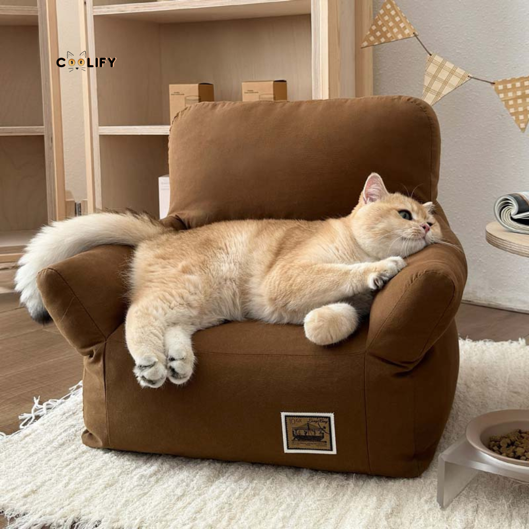 Coolify Minimalist Sofa