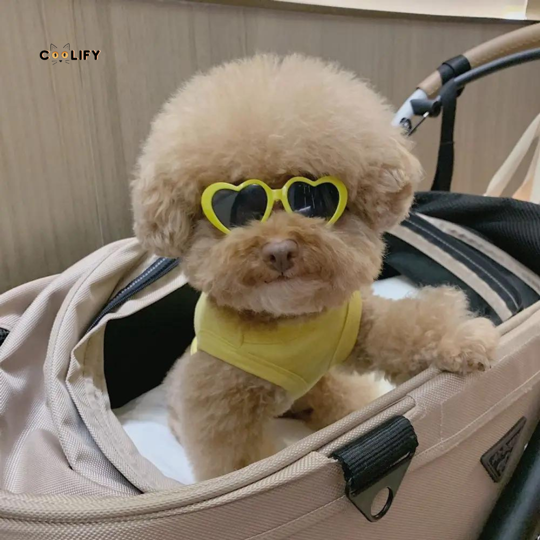 LovePaws Heart Shades