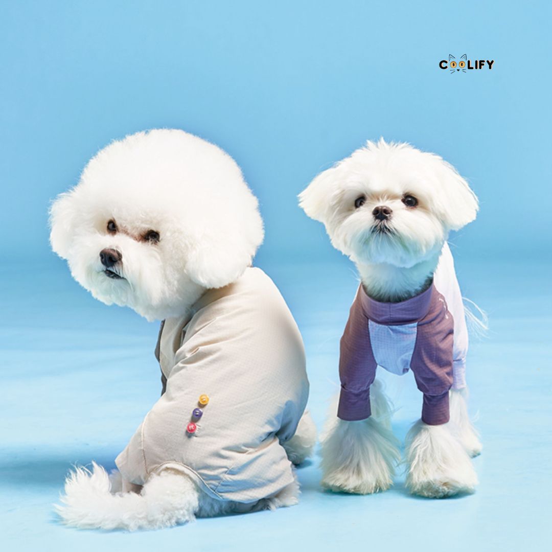 Coolify Breeze Touch Top