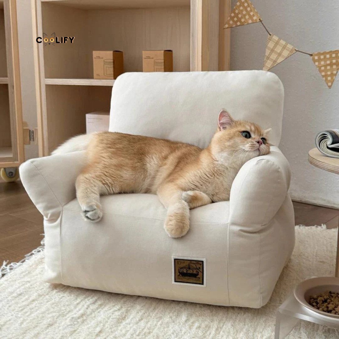 Coolify Minimalist Sofa