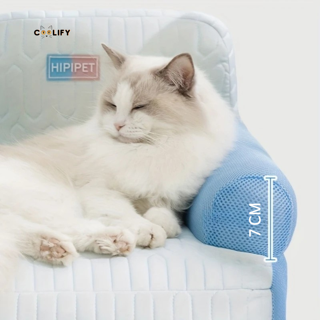Coolify Ice Sofa