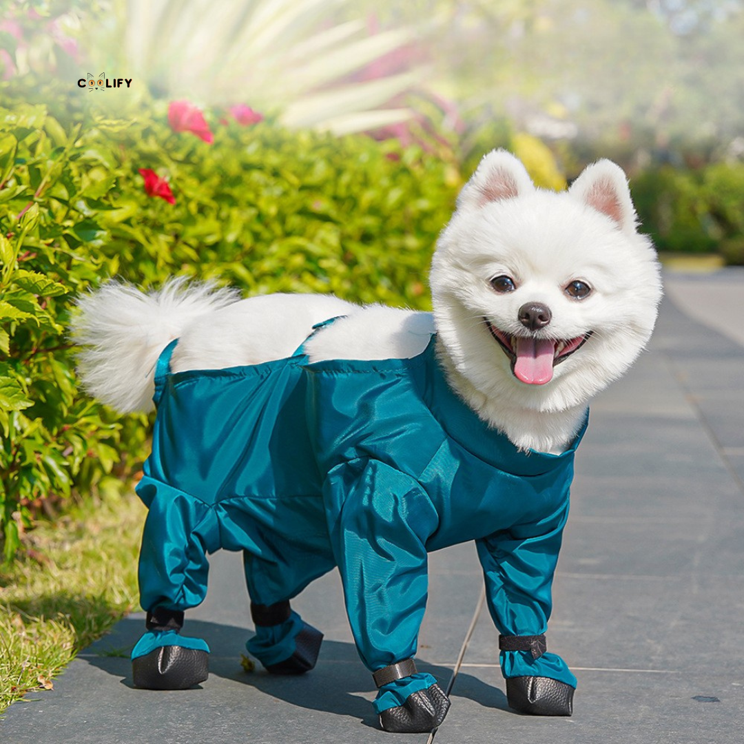 Muddy Paw Pants