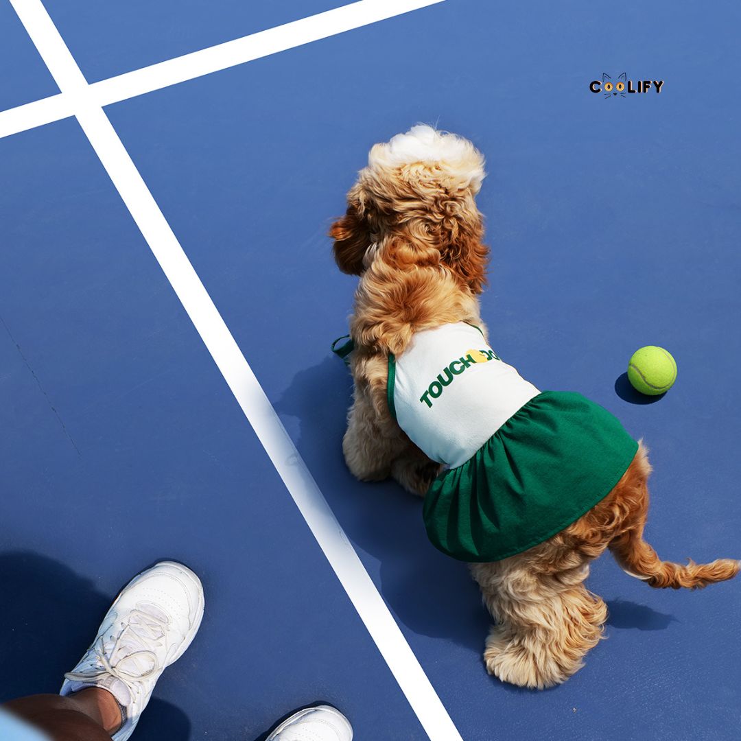 Coolify Court Flair