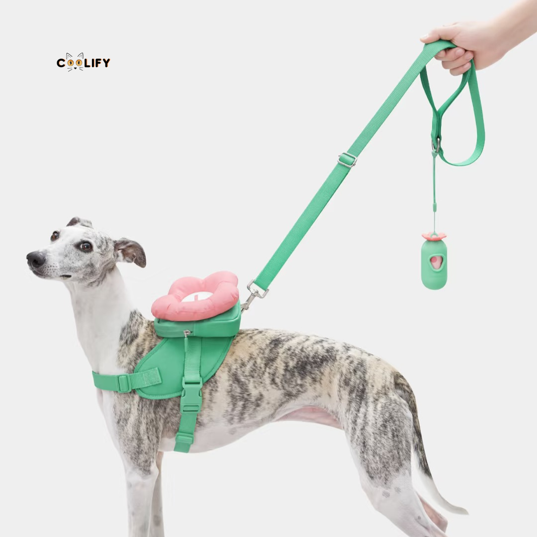Flora Pet Walk Kit