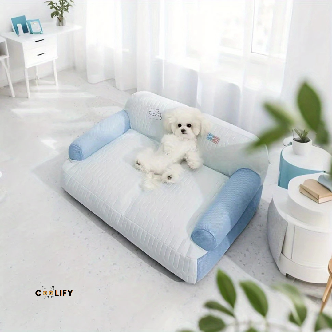 Coolify Ice Sofa