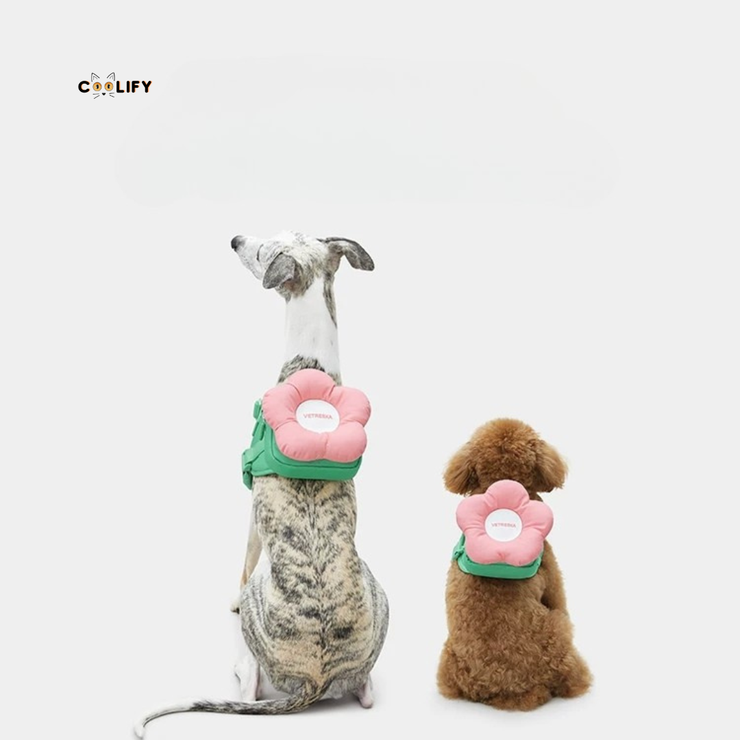 Flora Pet Walk Kit