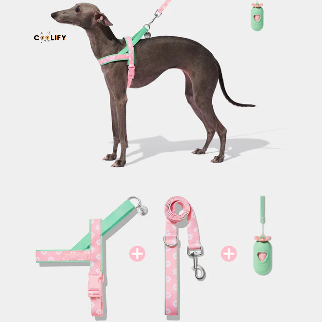 Verona Pet Walk Kit