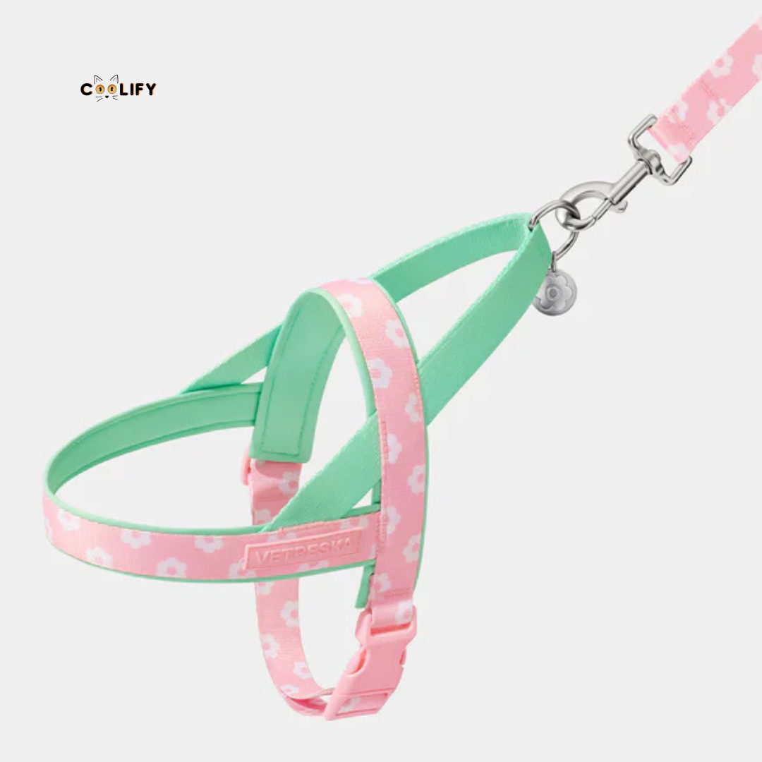 Verona Pet Walk Kit