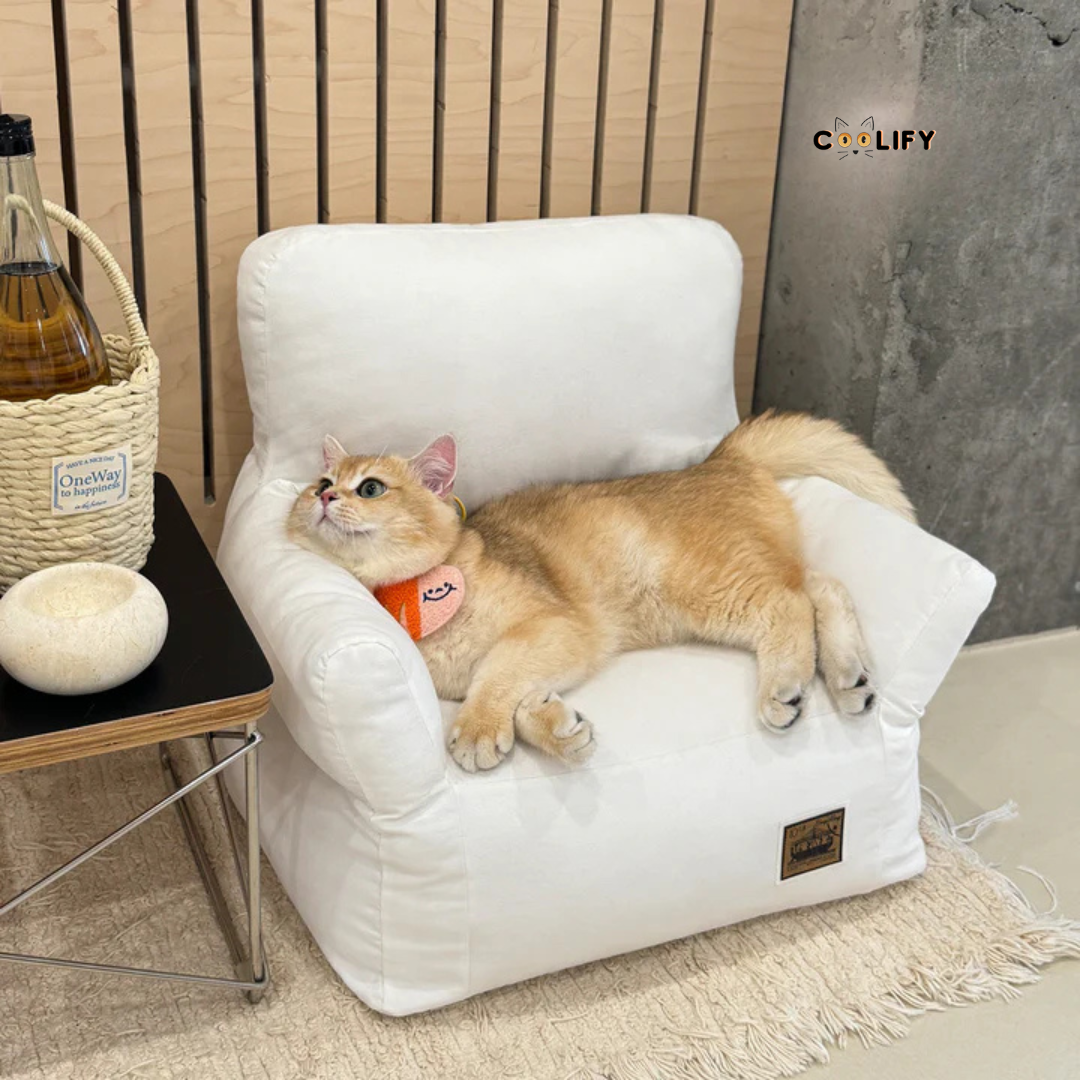 Coolify Minimalist Sofa